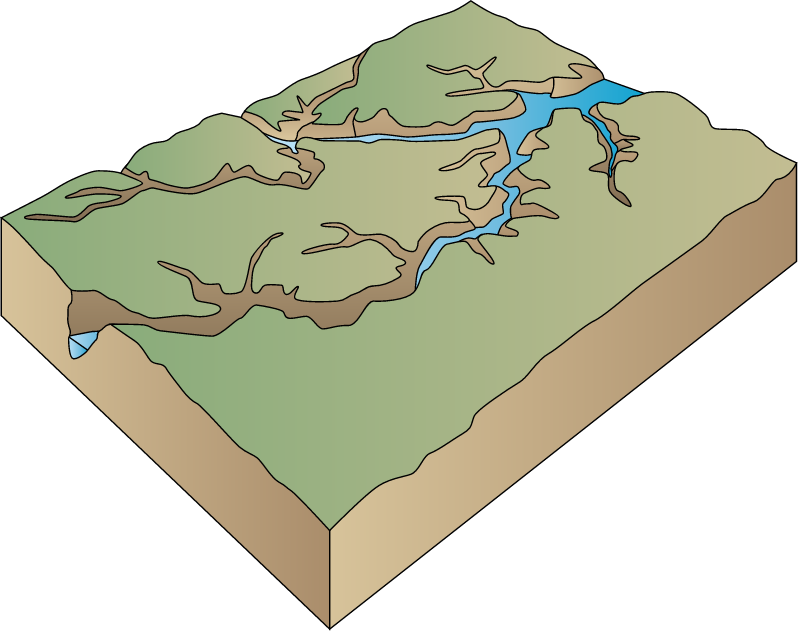 Canyon 3d