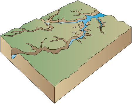 Canyon 3d