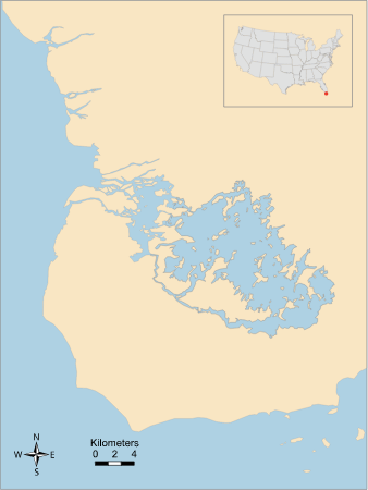 USA FL South Ten Thousand Islands