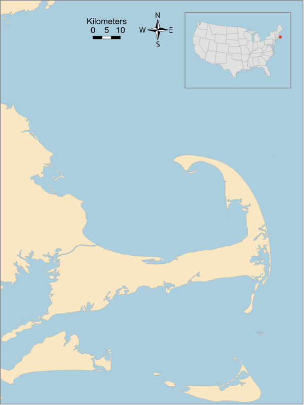 USA MA Cape Cod Bay