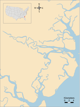 USA GA Altamaha River
