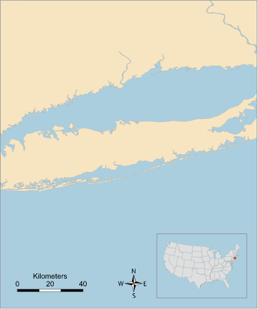 USA NY Great South Bay