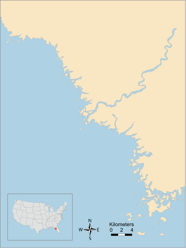 USA FL Suwannee River