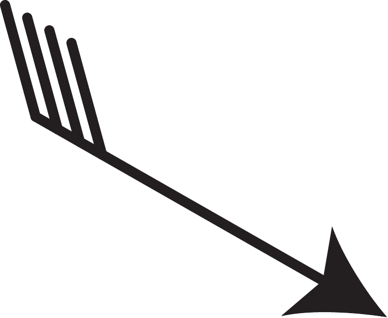 Weather Wind Vector