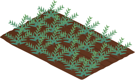 Field Winter Crop