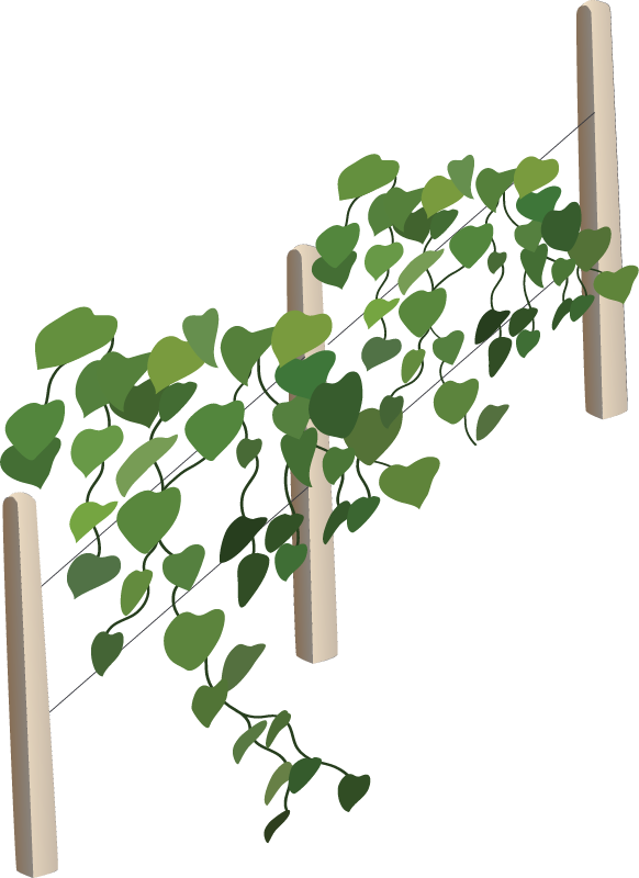 Vine Crop