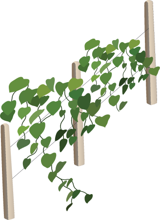 Vine Crop
