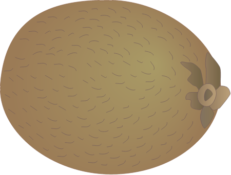 Kiwi Fruit