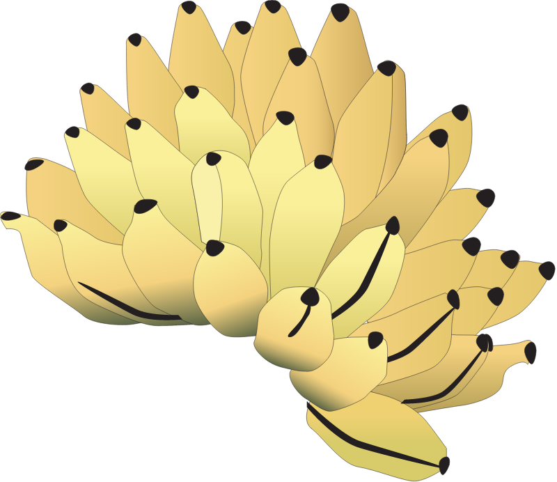 Banana Bunch