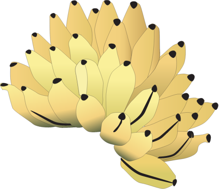 Banana Bunch