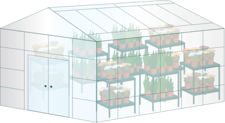 Greenhouse