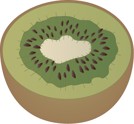 Kiwi Fruit