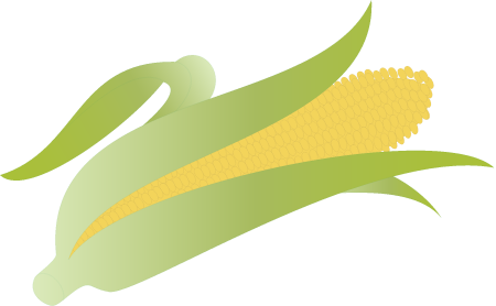 Maize Corn Cob