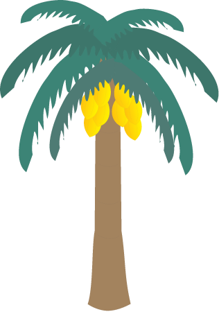 Coconut Palm Tree