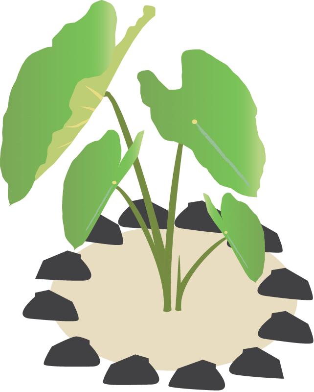 Taro Plot