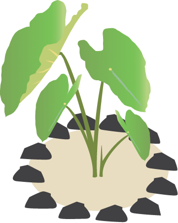Taro Plot