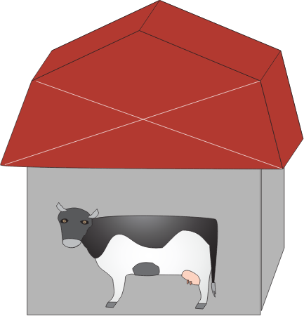 Beef Dairy Farming