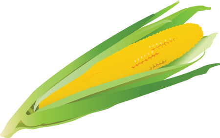 Maize Corn Cob