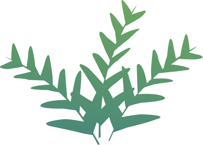 Winter Crop