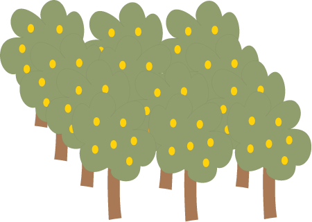Orchard