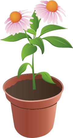 Flower Pot