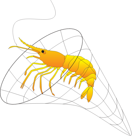 Fisheries Crustacean