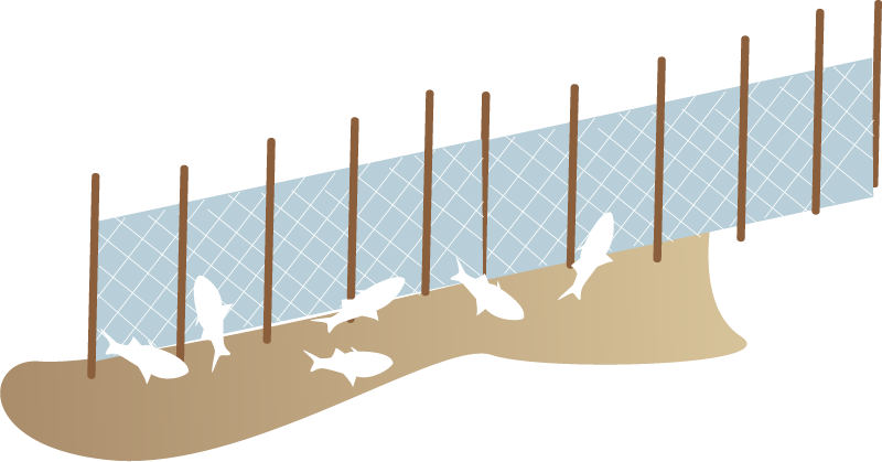 Abandoned Shrimp Nets