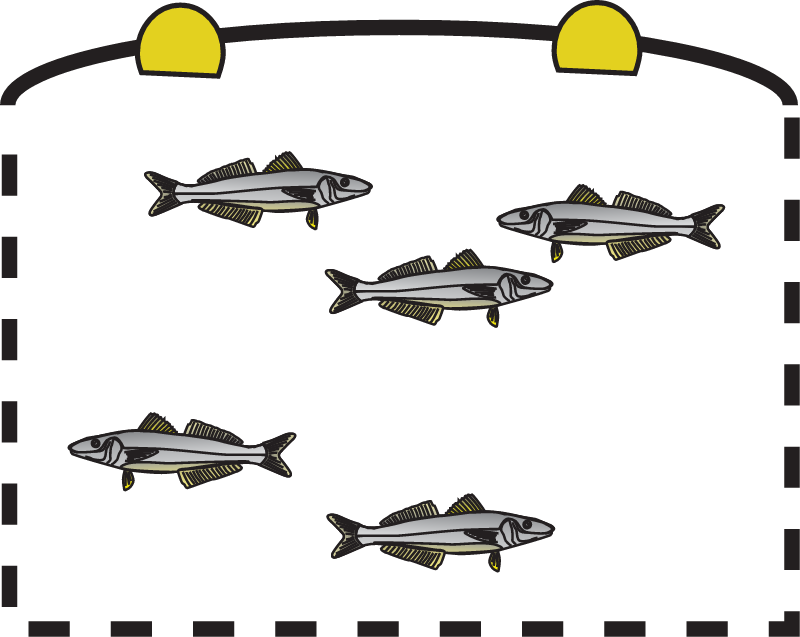 Fish Cages
