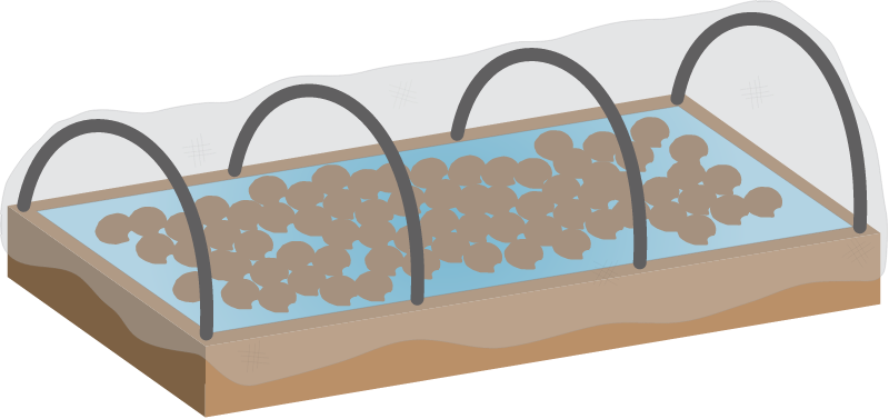 Hard Clam Aquaculture Pen
