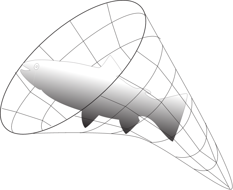 Fisheries Fin