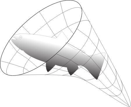 Fisheries Fin