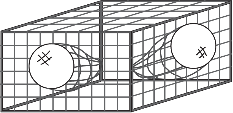 Fish Trap