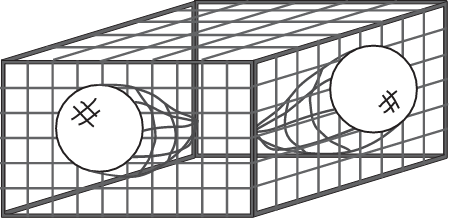 梁 (渔具)