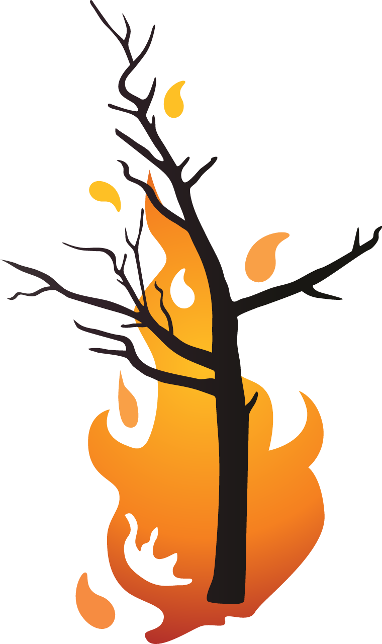 Climate Change Wildfire