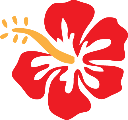 Hibiscus Flower