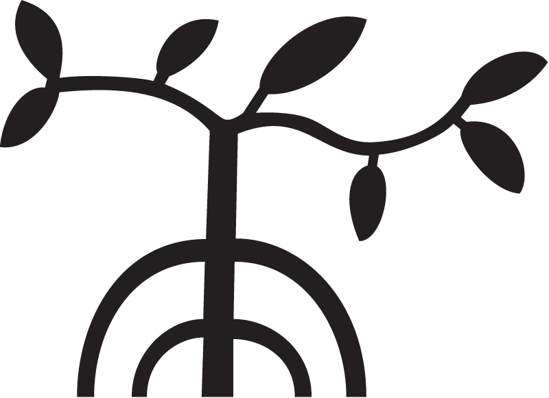 Palau Storyboard