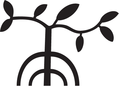 Palau Storyboard