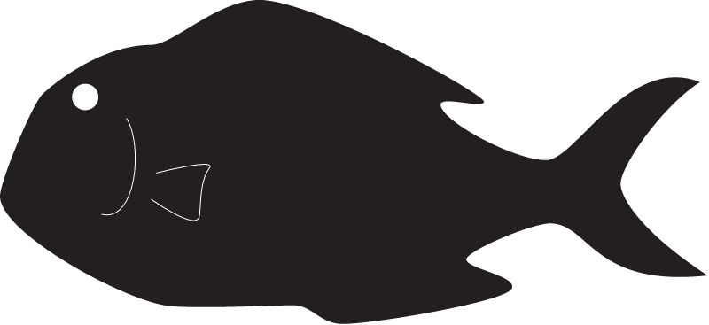 Palau Storyboard