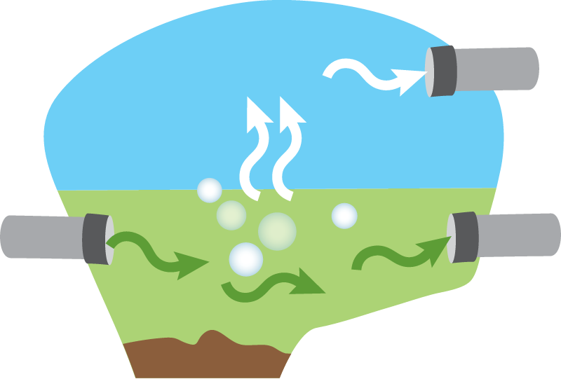 Water Biodigestor