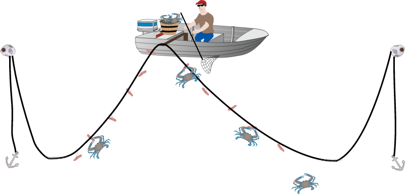 Trotlining