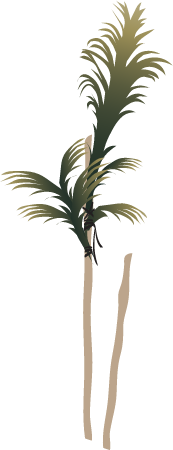 Indonesian Zone Marker