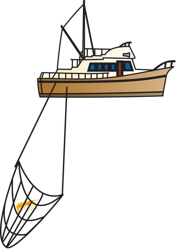 Trawler Boat
