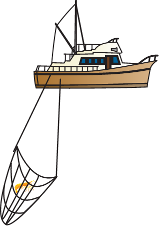 Trawler Boat