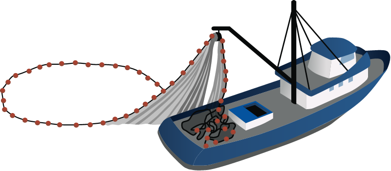 Purse Seine