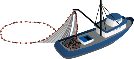 Purse Seine