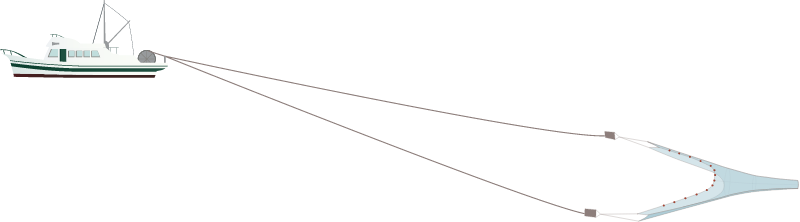 Benthic Trawling