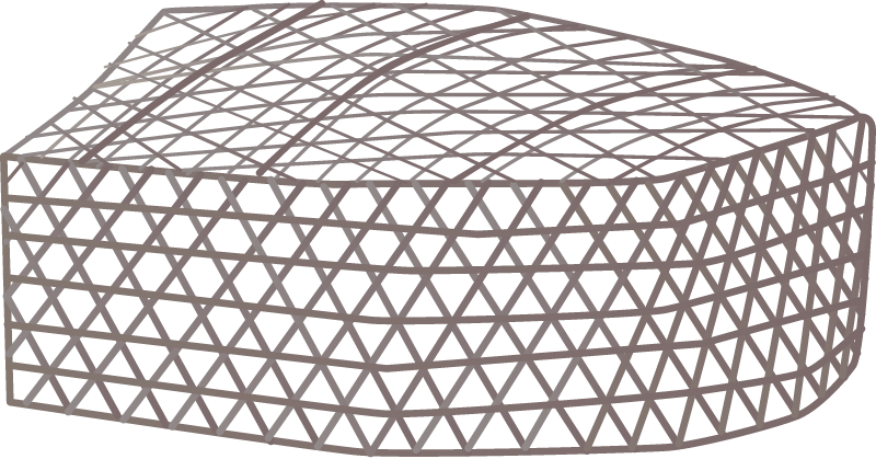 Fish Trap