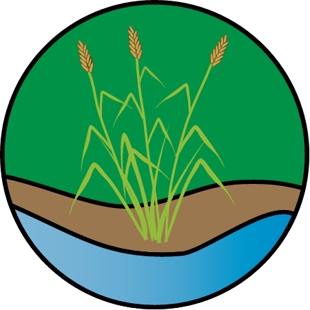 Marsh Restoration