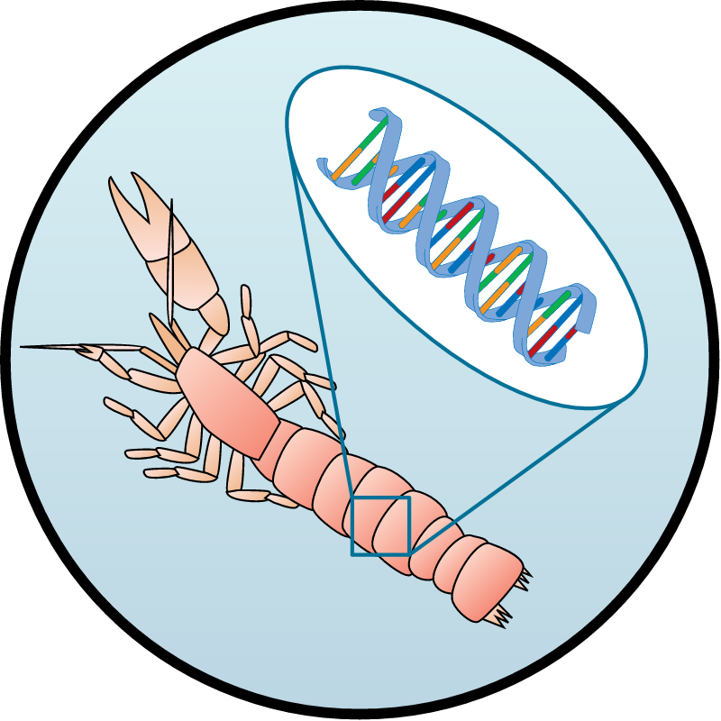 Bioindicators