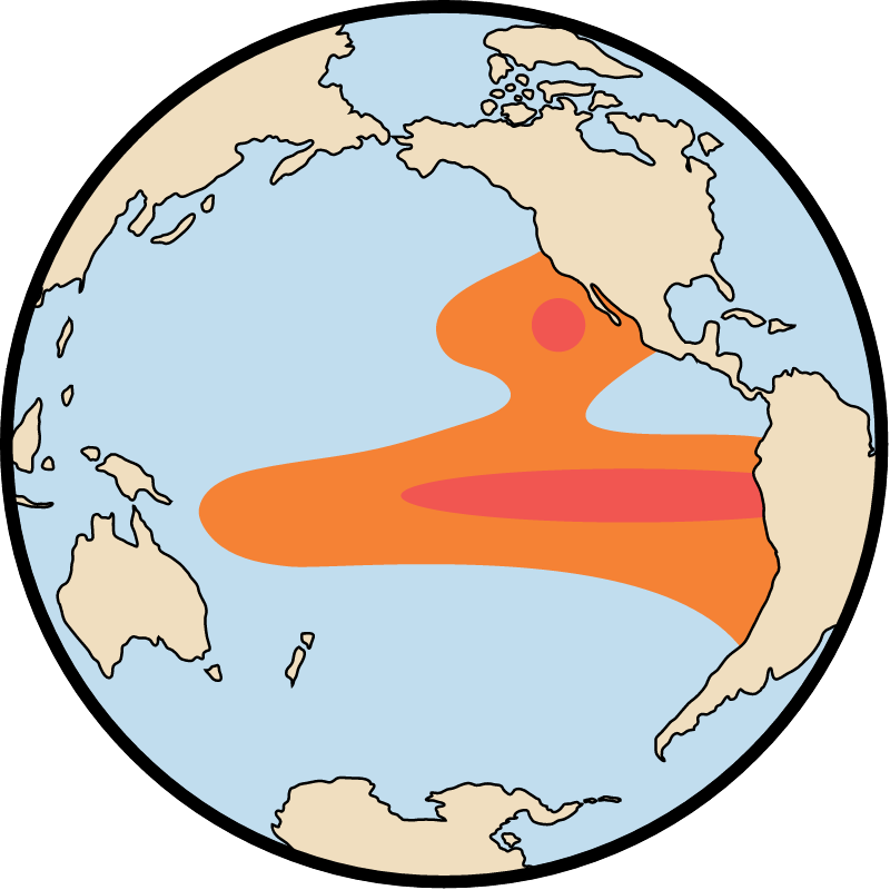 El Nino Southern Oscillation Management